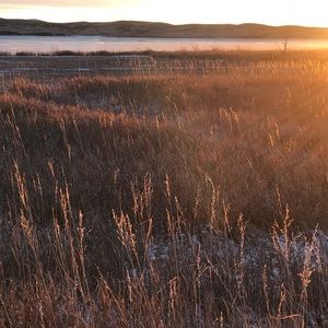 Meet your Posher, Kyra